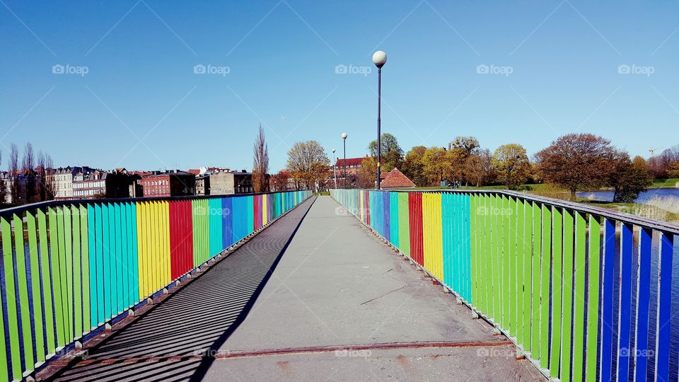 bridge of rainbow