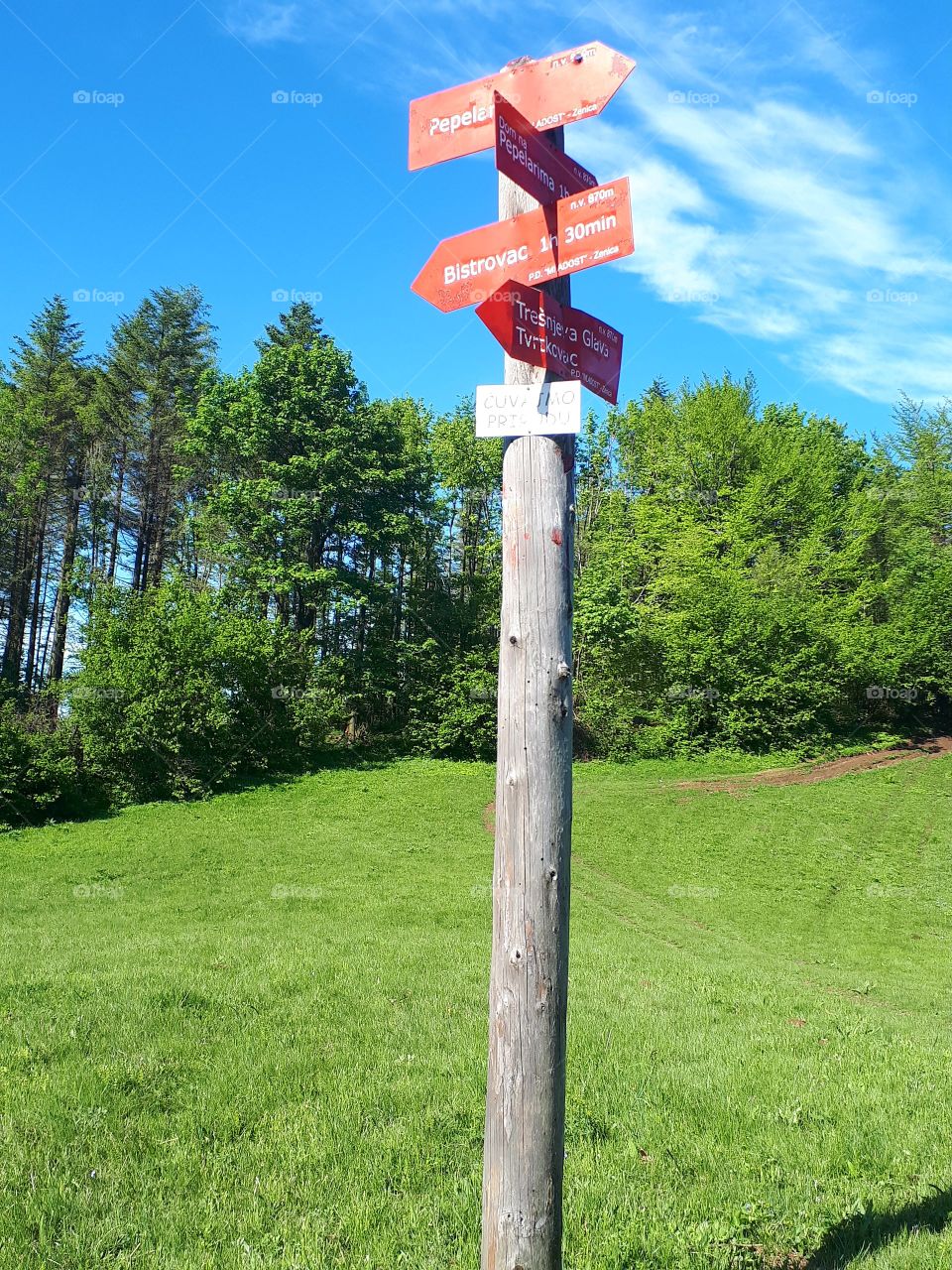 A guidepost on the hill, in a clean area surrounded by forests