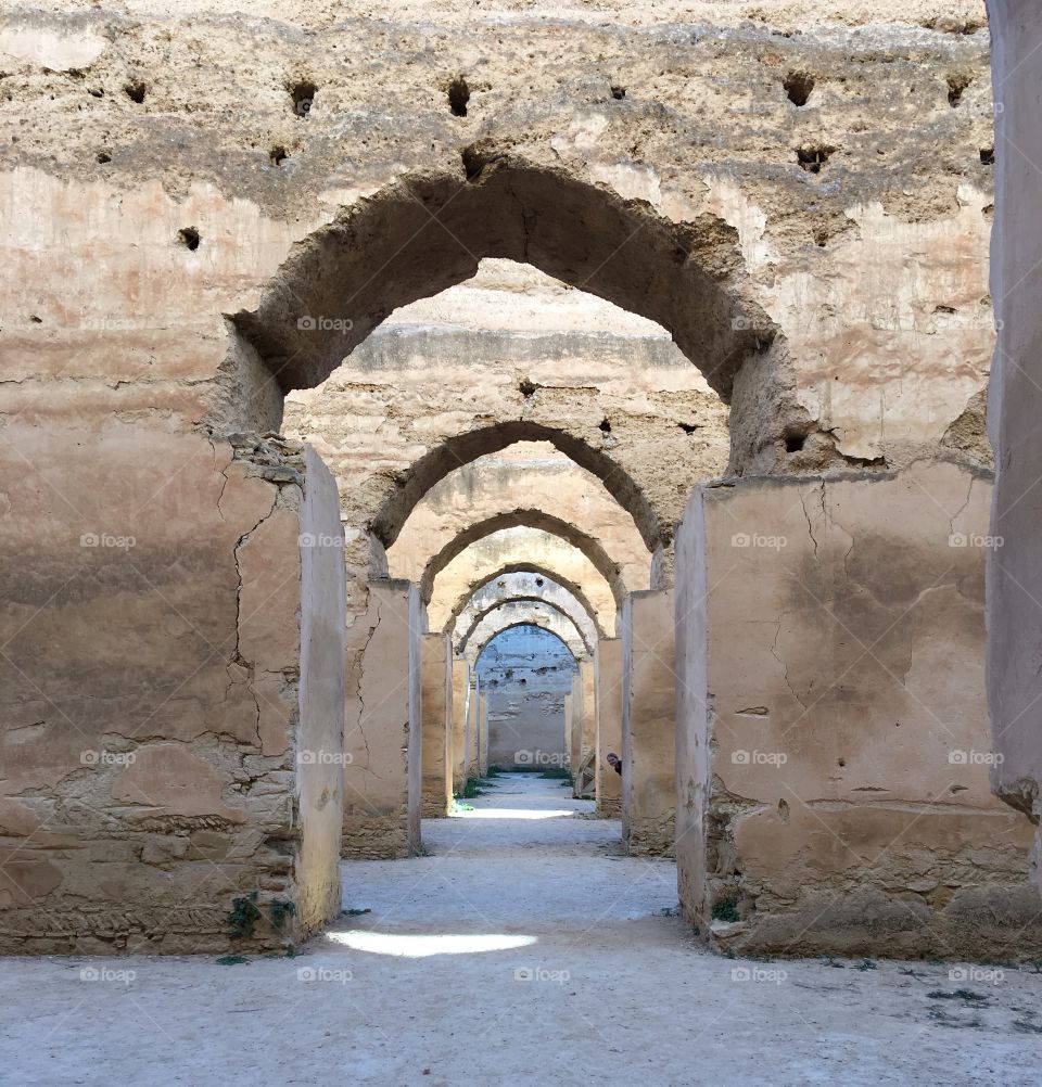 Hiding in the arches 