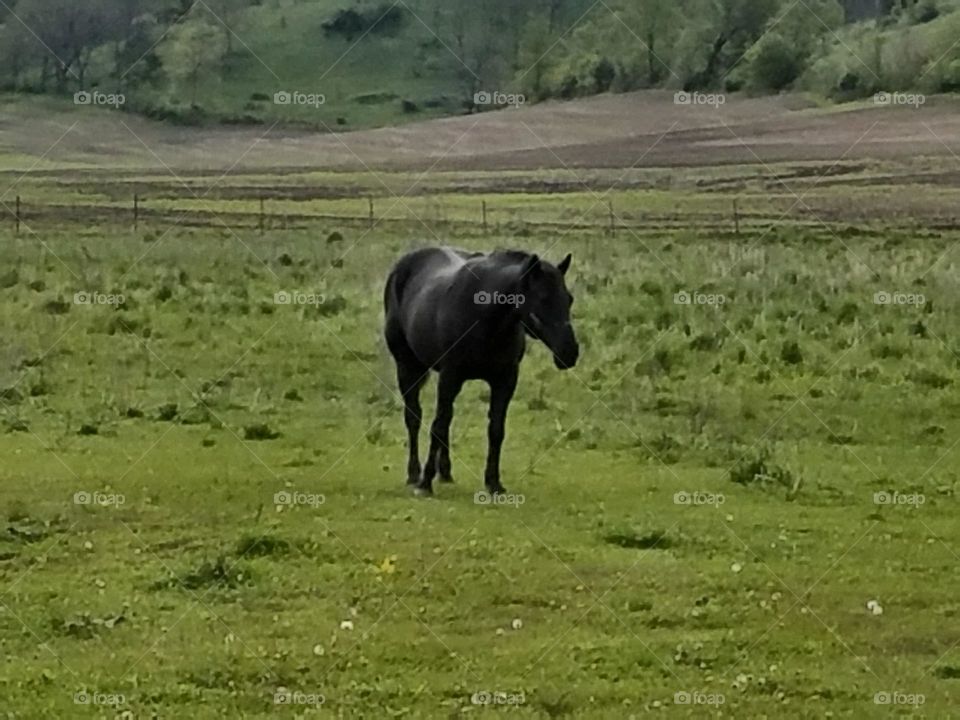 Driving the Back Roads and enjoying everything around us