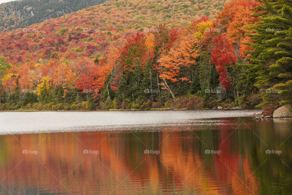 Moods of Autumn-Fall color reflections