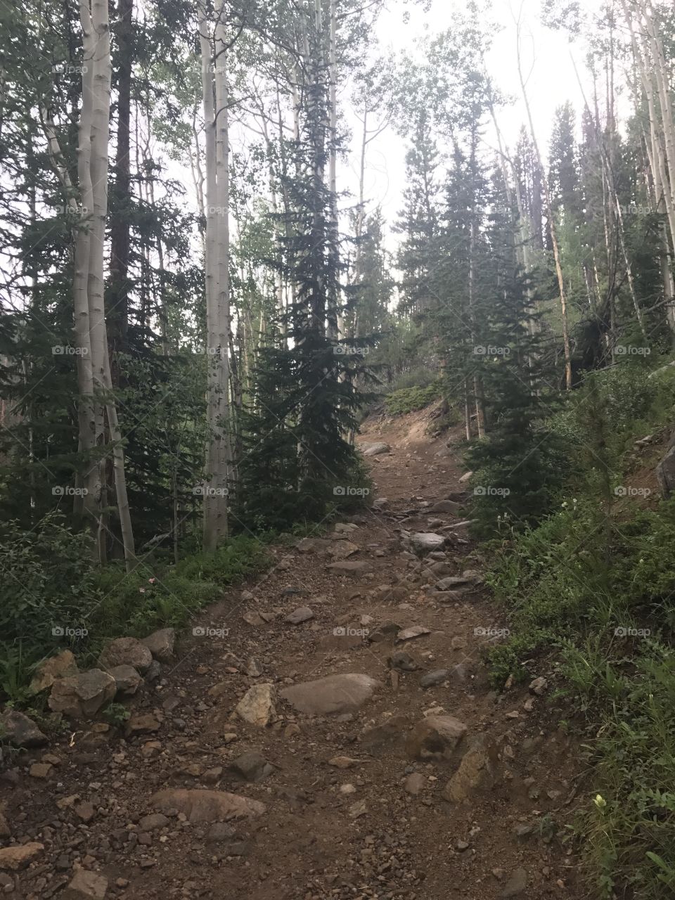 Colorado hike