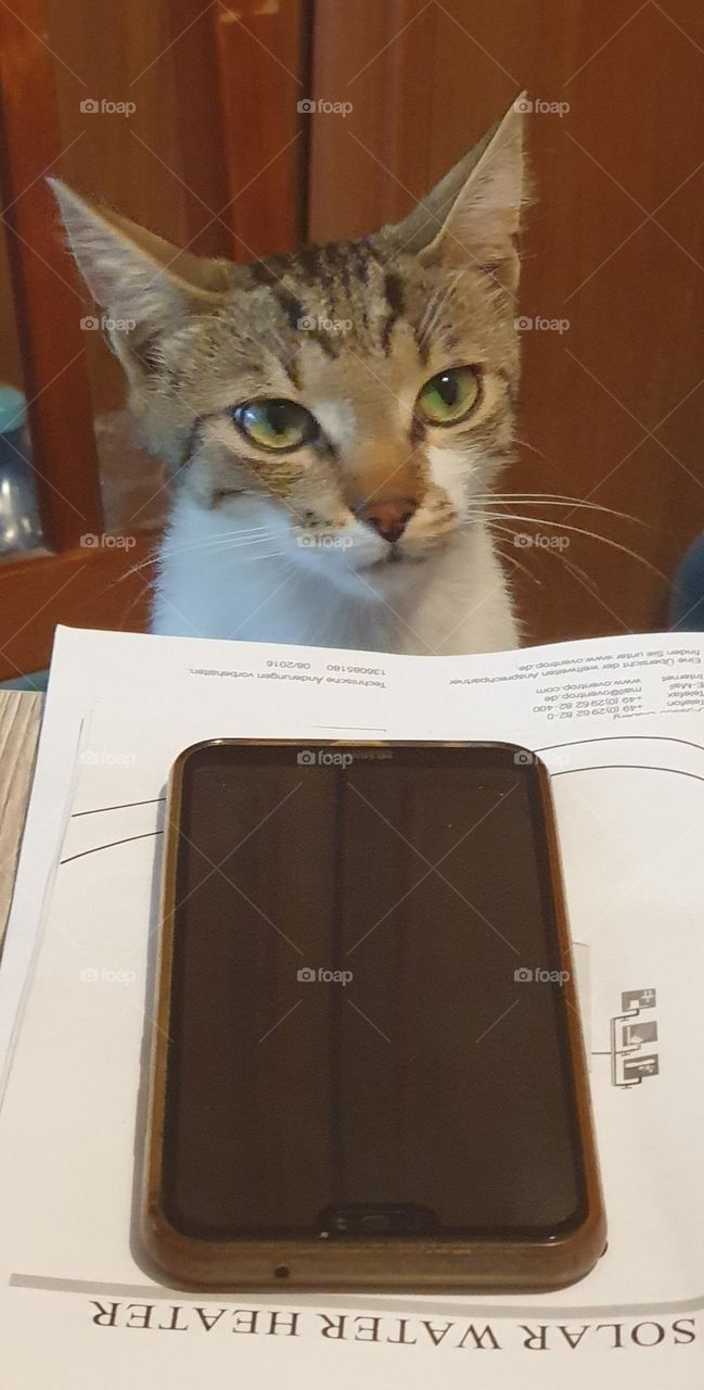 the best engineer ever looking for solutions