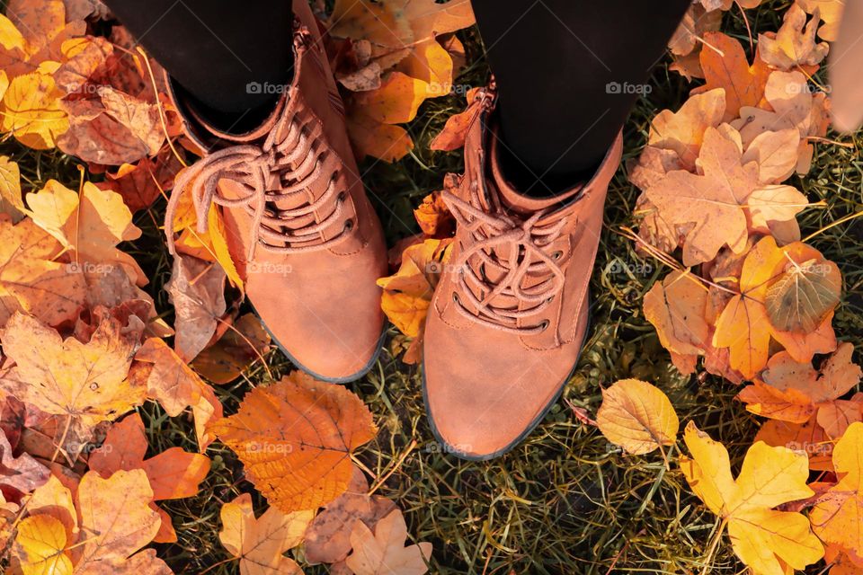 Beautiful view of female legs in brown boots standing in colorful autumn foliage, close-up top view.