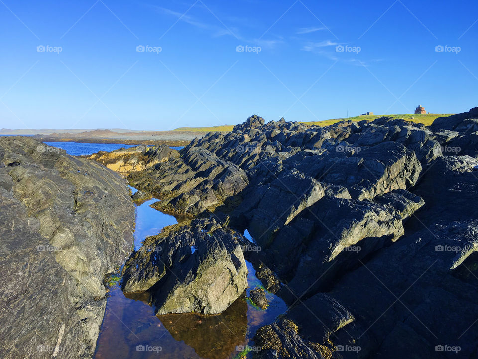 Arctic Ocean shore 