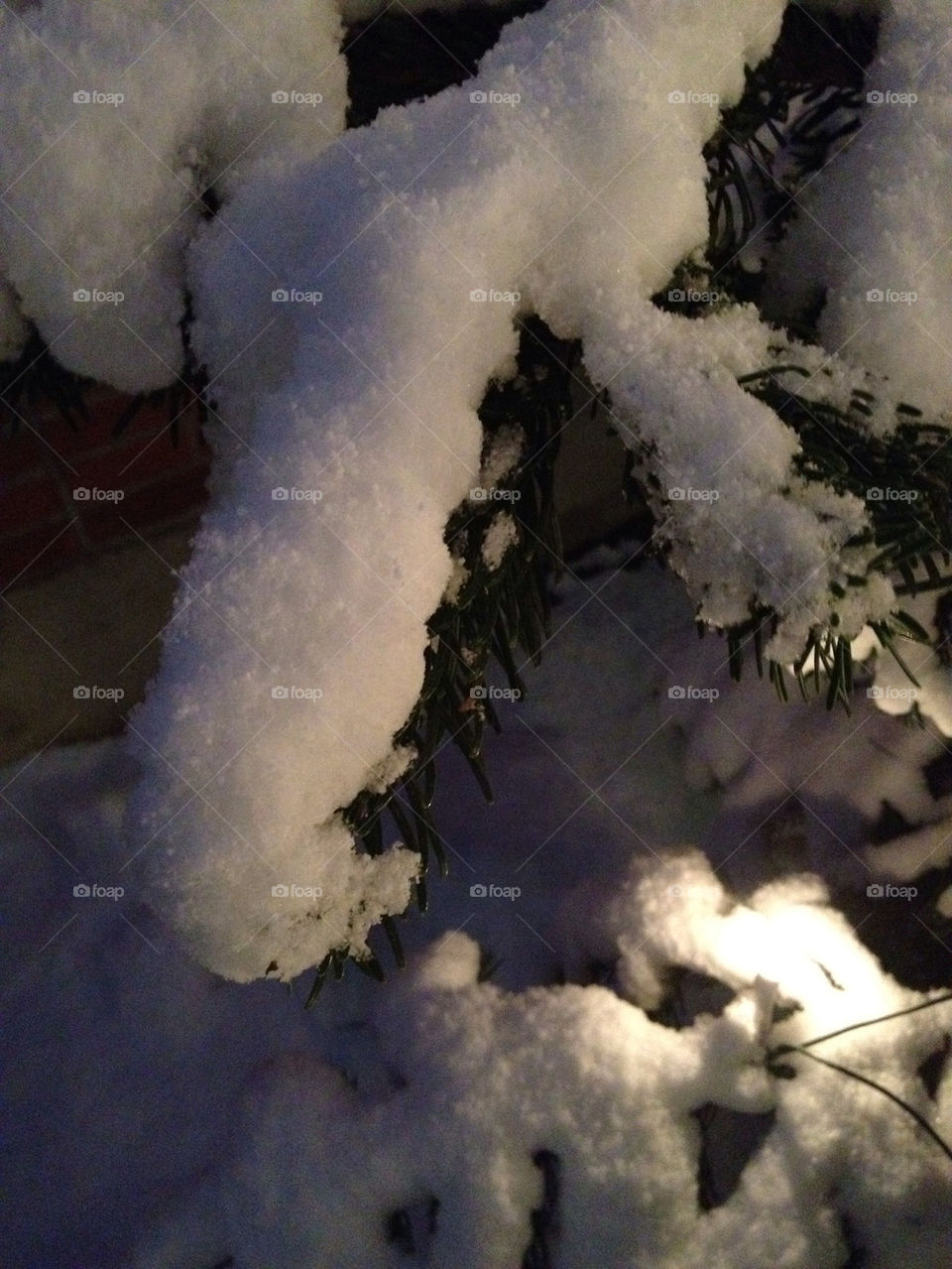 snow winter tree by liselott
