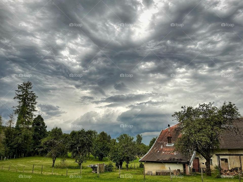 House in the nature.