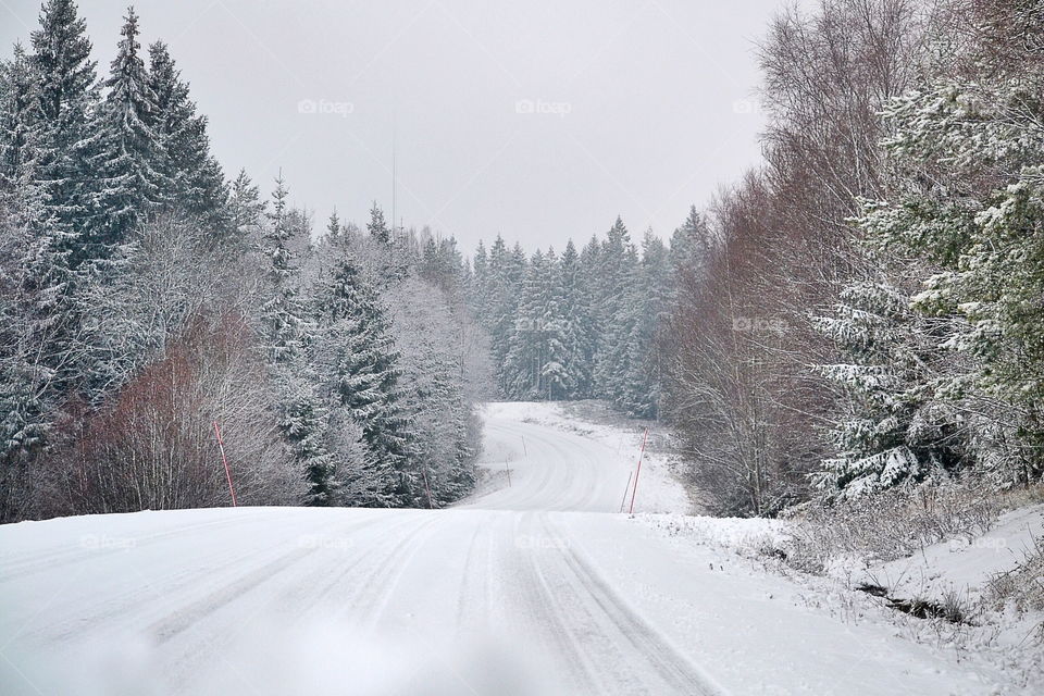 Winter road