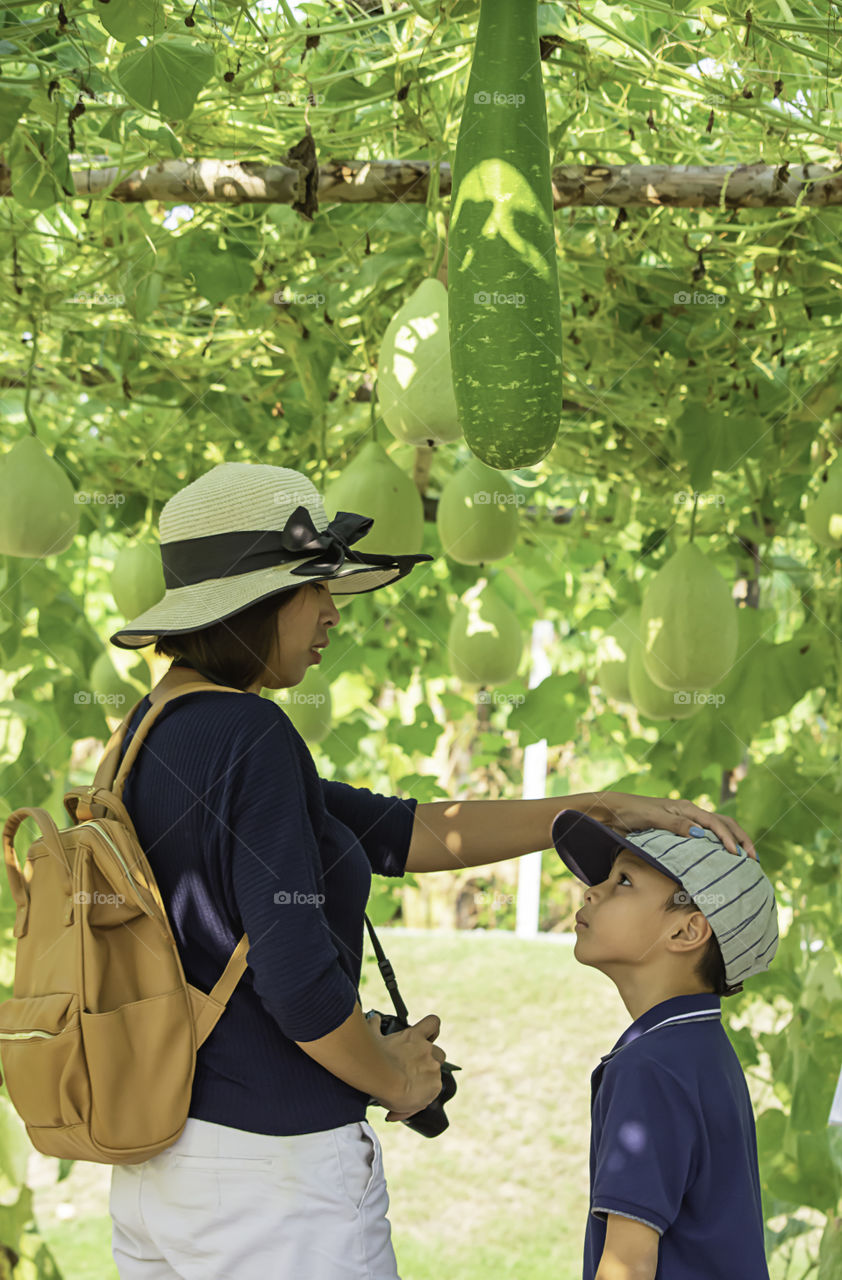 Mother and son in the Winter melon farm