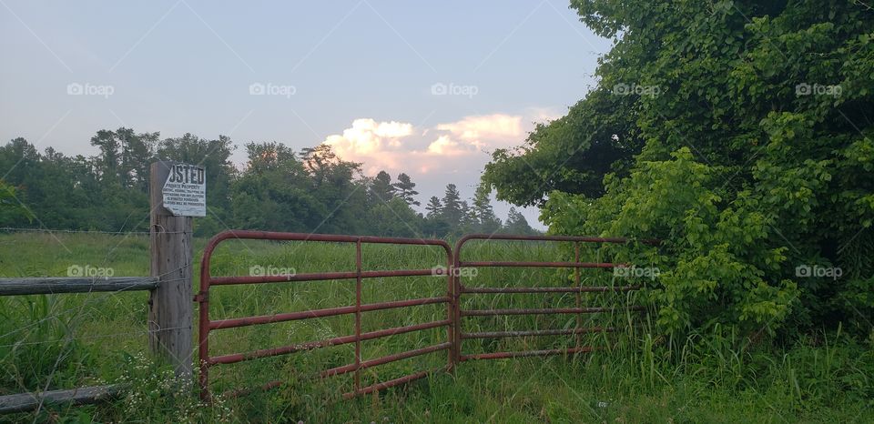 sunset over a cattle gate
