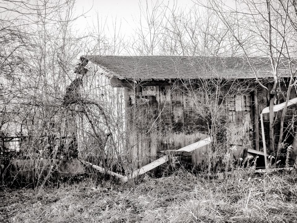 Old rustic barn
