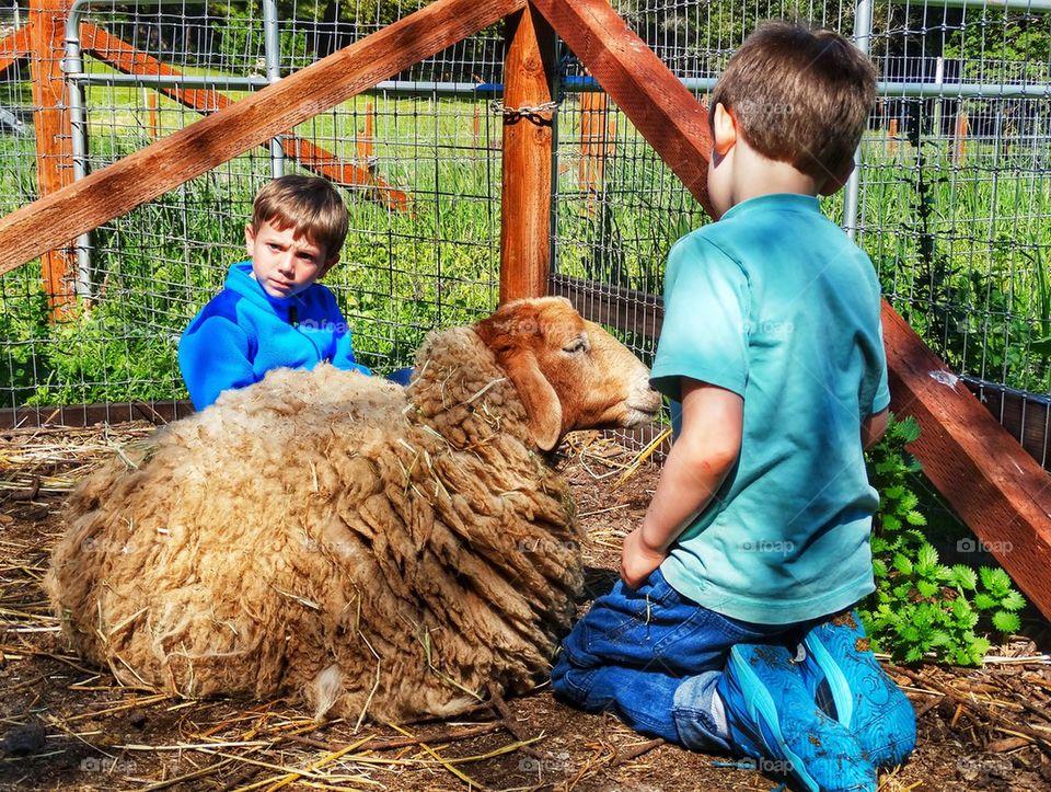 Two Young Boys Working On A Farm
