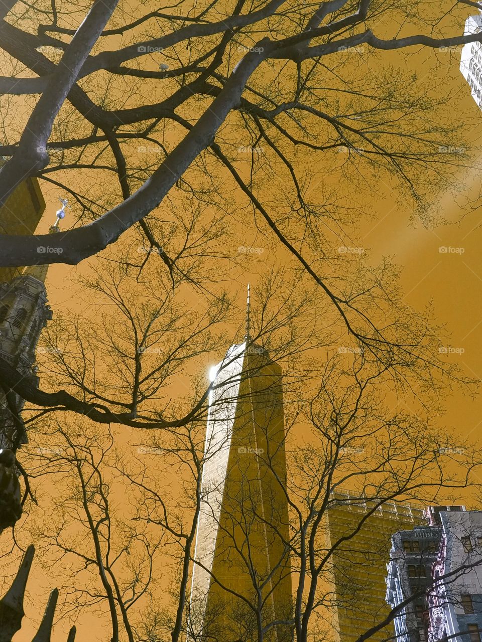 tree