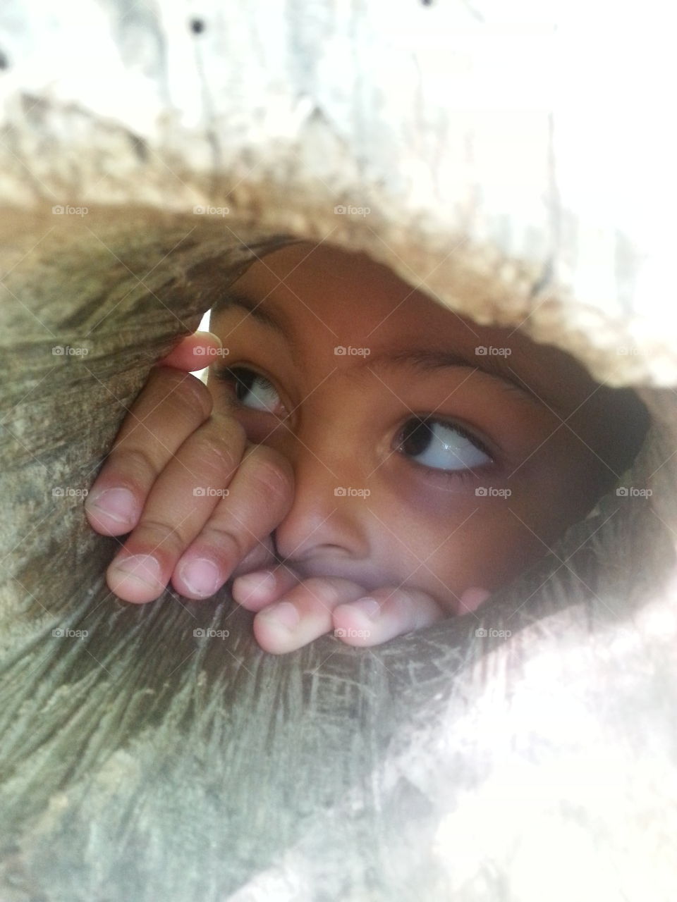 Close-up of peeking through tree hole
