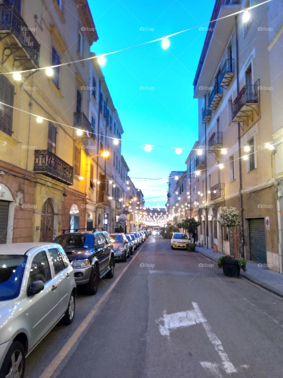 Editors' Choice: Photo of the Week