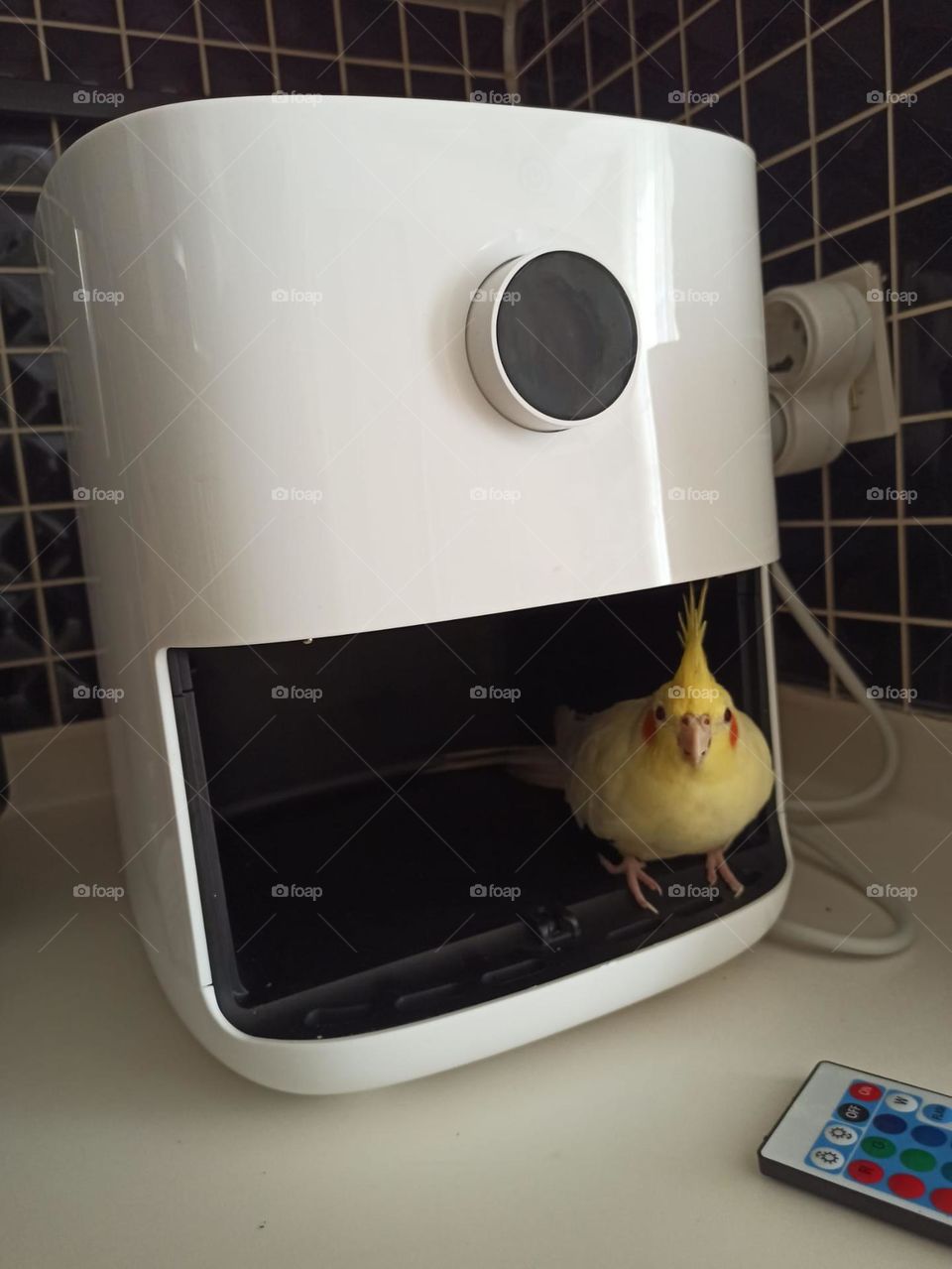 airfryer funny