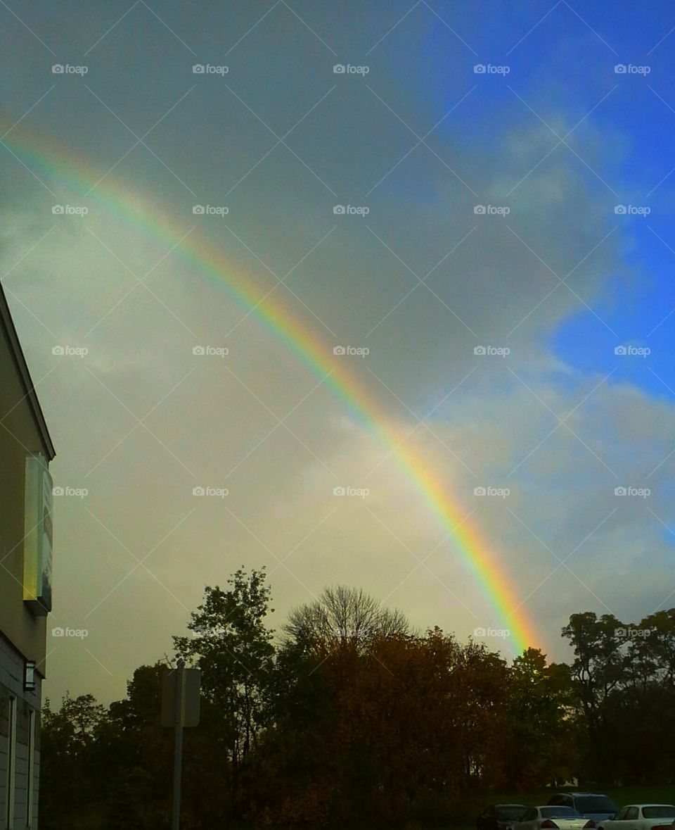 rainbow