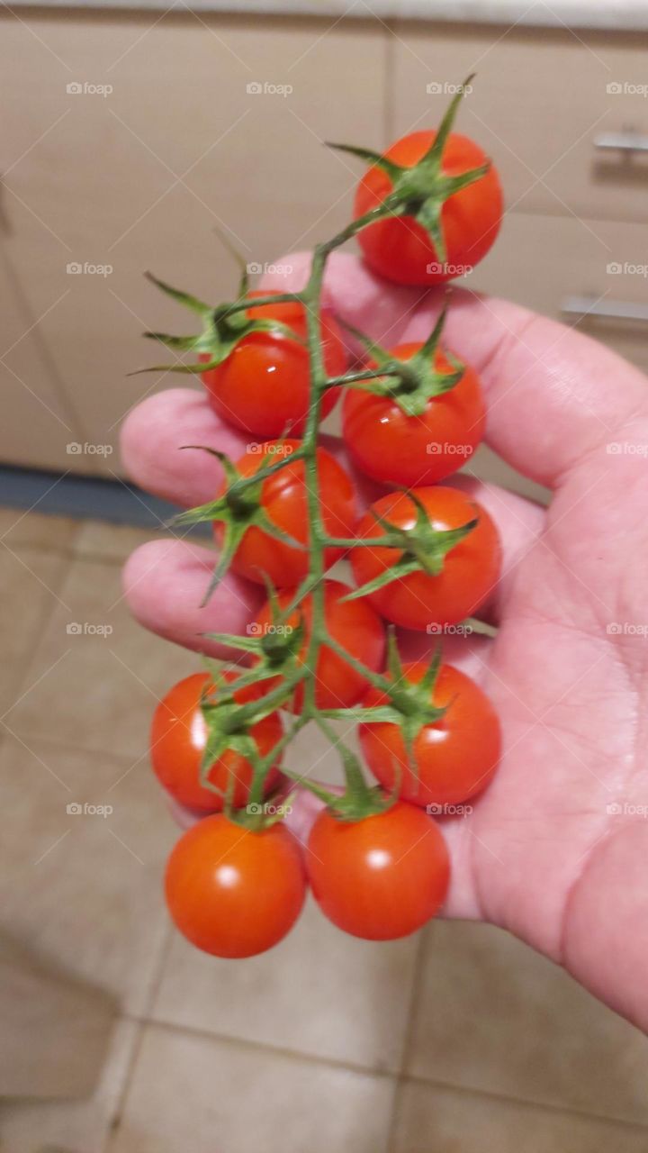 mini tomatoes Crete