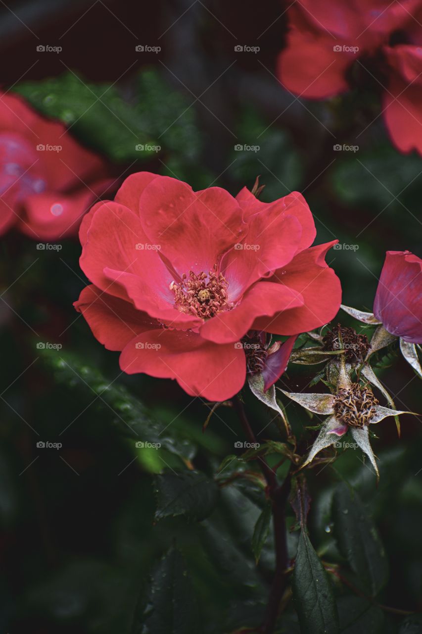 Spring makes the world bright. BRIGHTER!