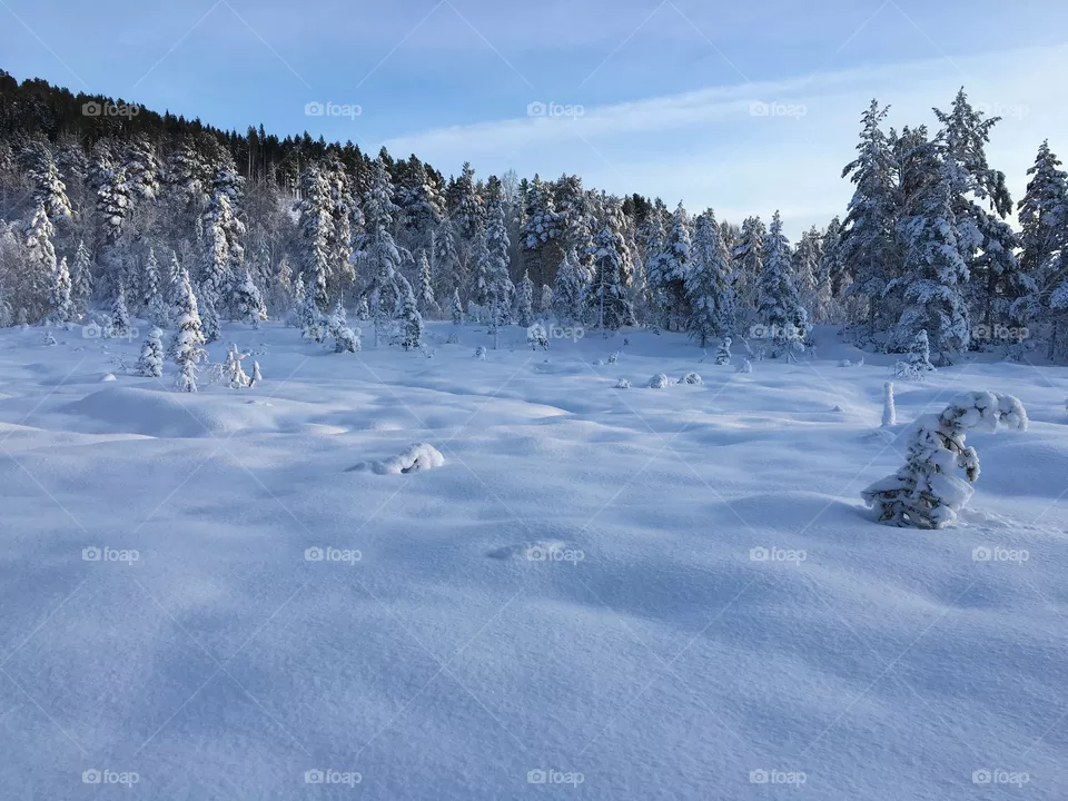 Norway 
