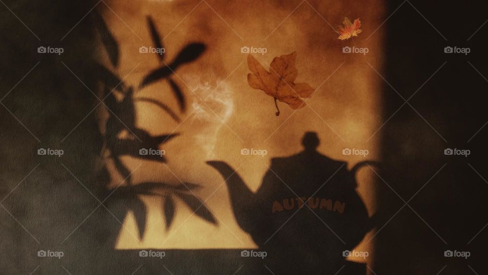 autumn shadows
