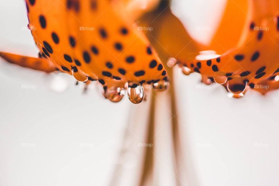 Water drops