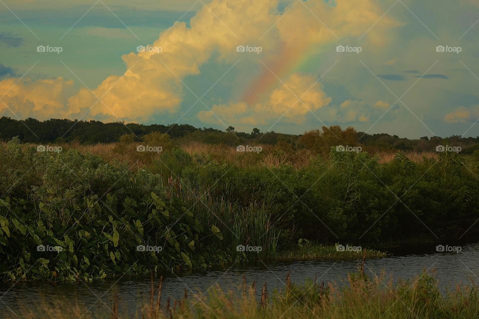 Rainbow Over Apopka. Taking the wildlife drive on lake Apopka