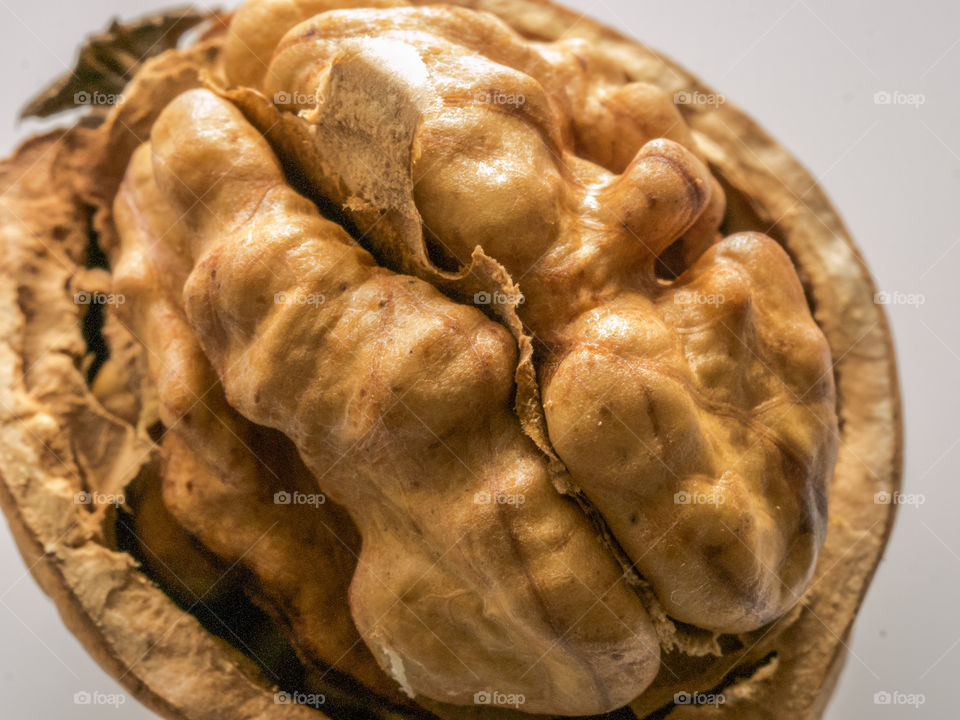 Close-up of walnut