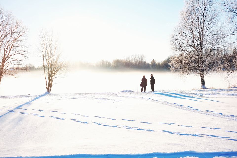 Winter, Snow, Cold, Frost, Ice