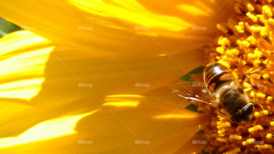 The Beauty Which Surrounds Us