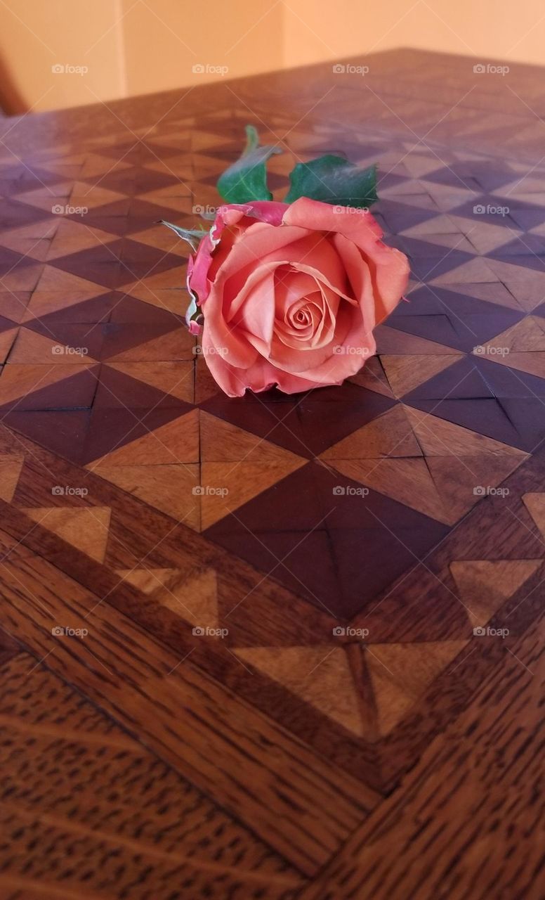 Salmon Colored Rose On An Inlaid Wooden Checkerboard