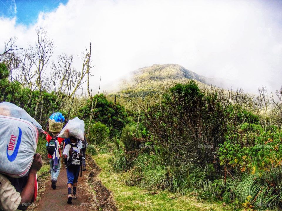 Hiking Kilimanjaro 