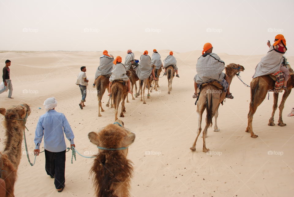 riding dromedary in Tunisia. vacations in Tunisia