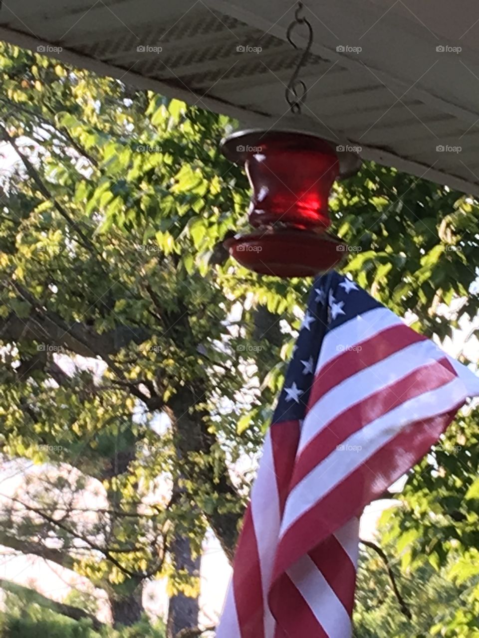 Happy Labor Day weekend everyone! There is a hummingbird in this picture that you can barely see.