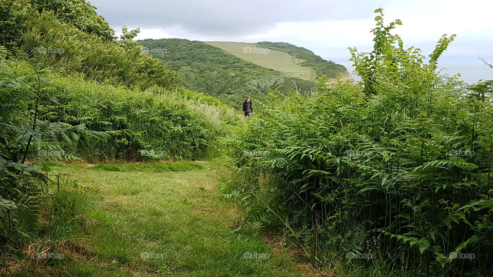 surrounded by beautiful lush foliage in the hills of Hastings coast