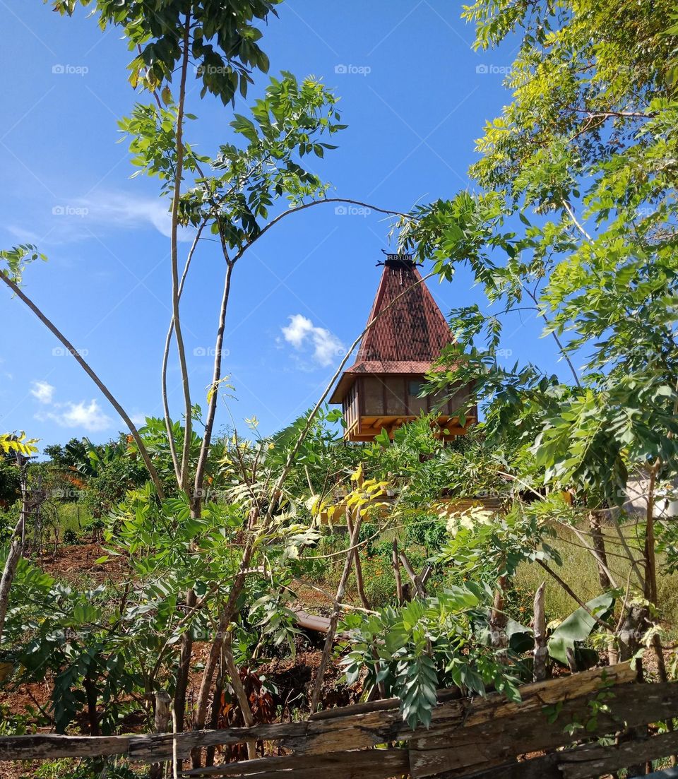 Traditional timorese house