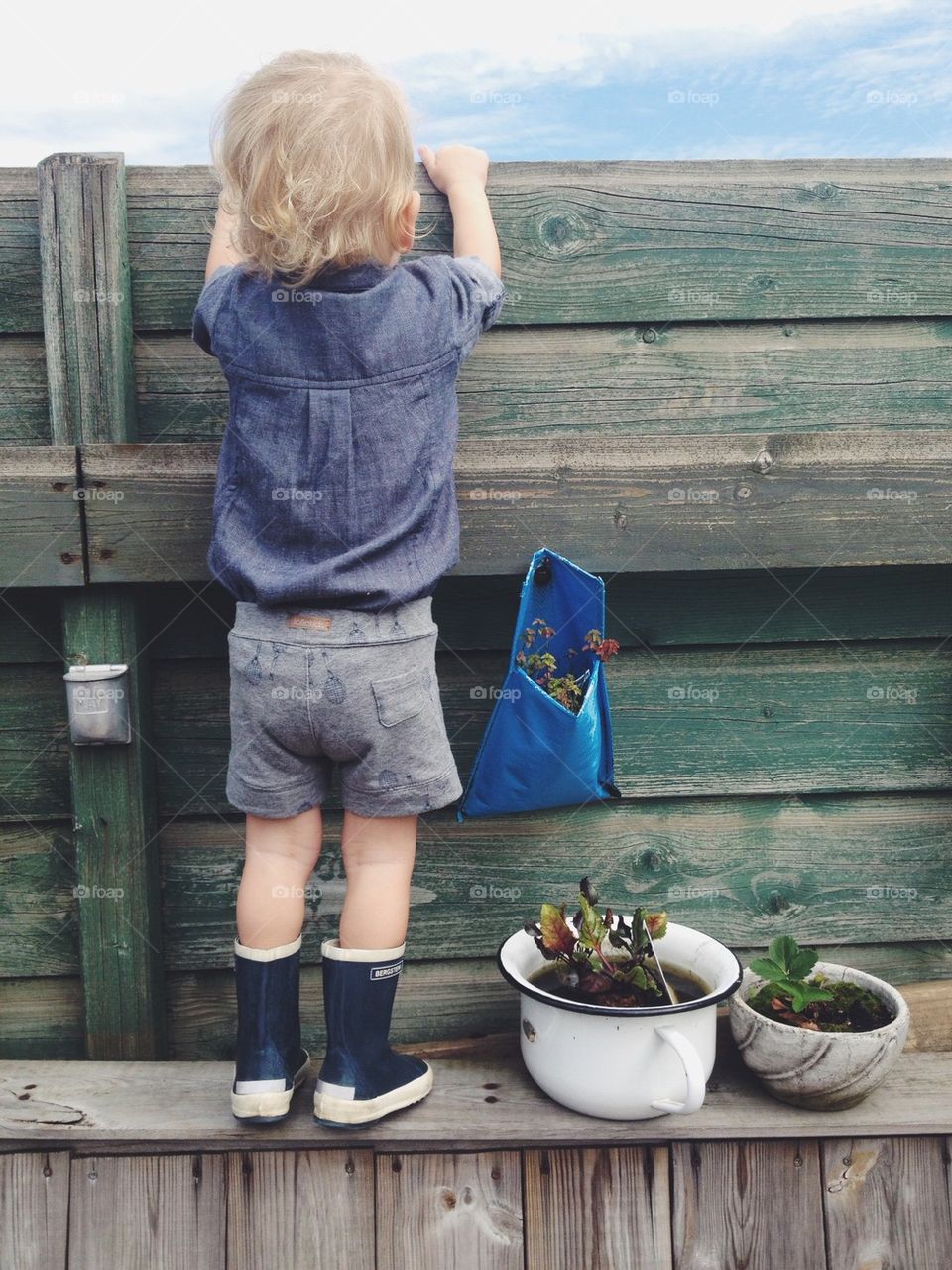 Boy looking for his cat