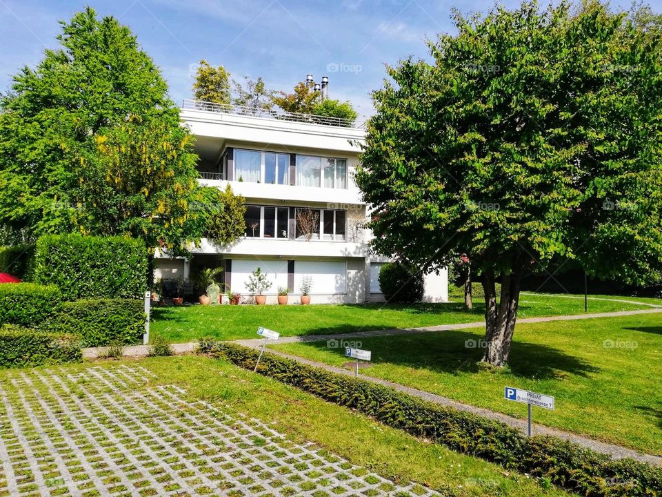 Urban nature: plants