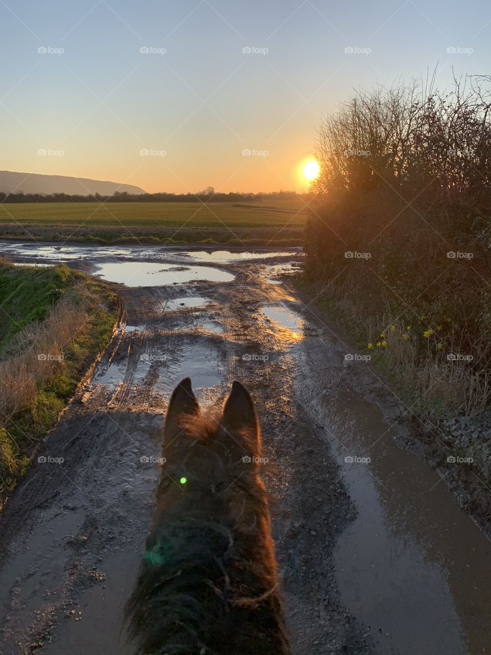 Sunset ride