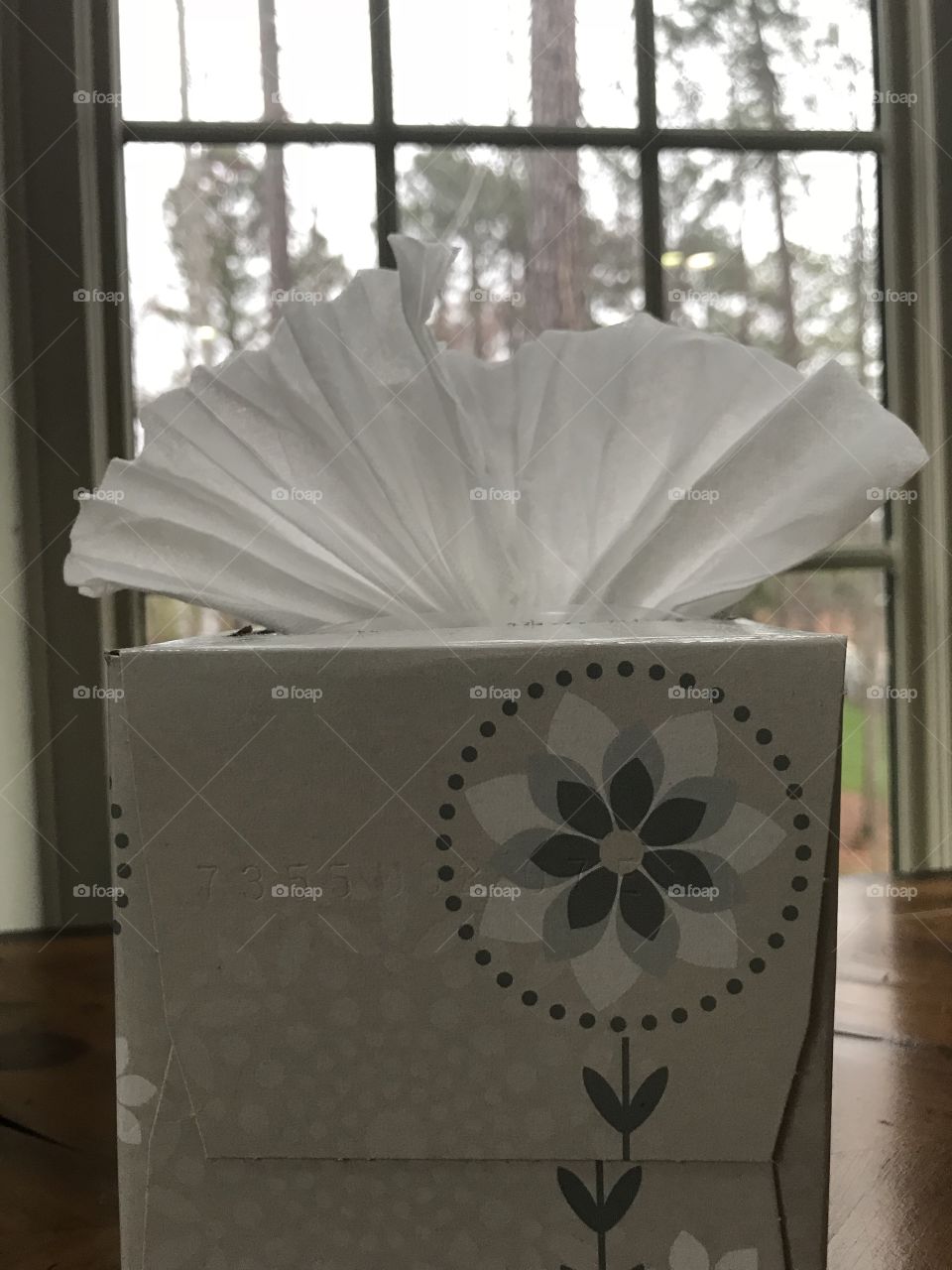 Design Tissue box