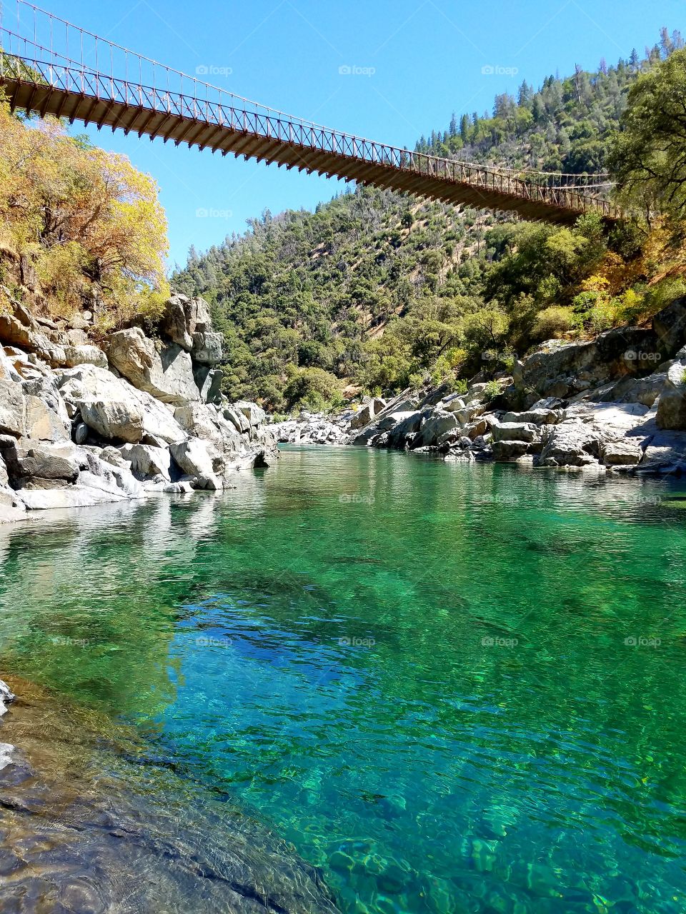 Swimming hole