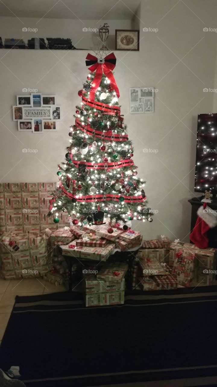 Christmas, Decoration, Winter, No Person, Christmas Tree