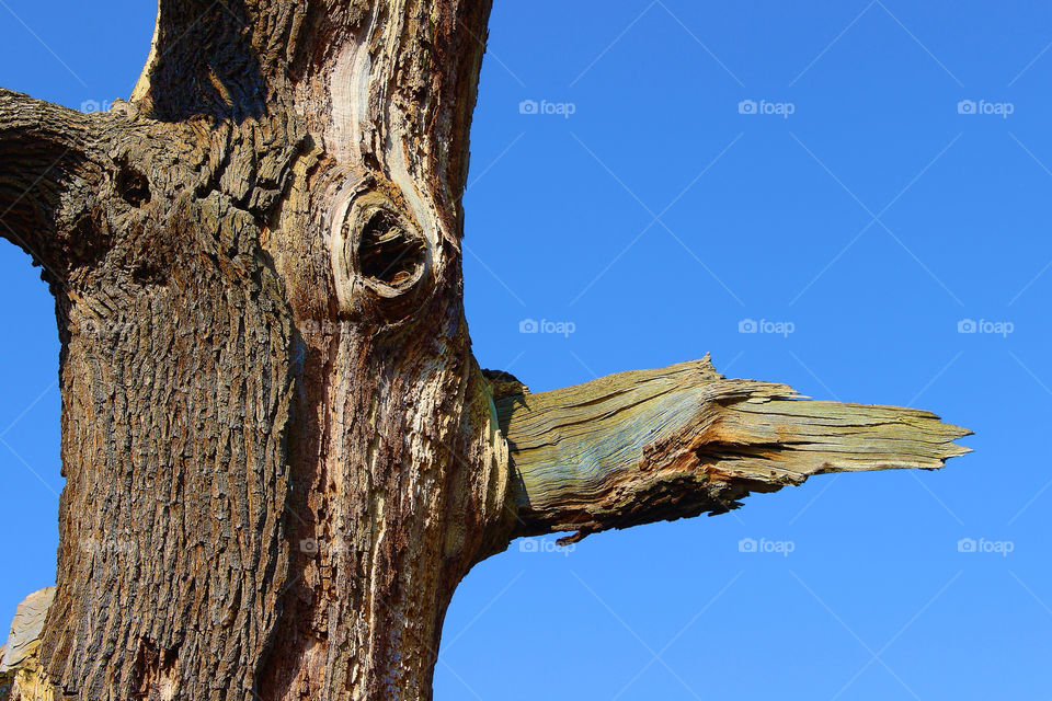 shattered limb blue sky by chris7ben