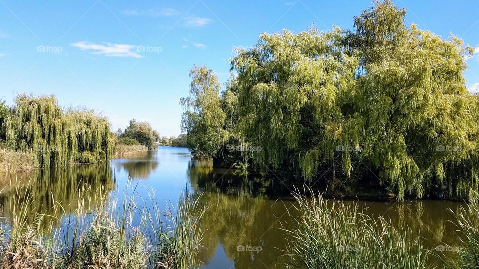 summer Lake