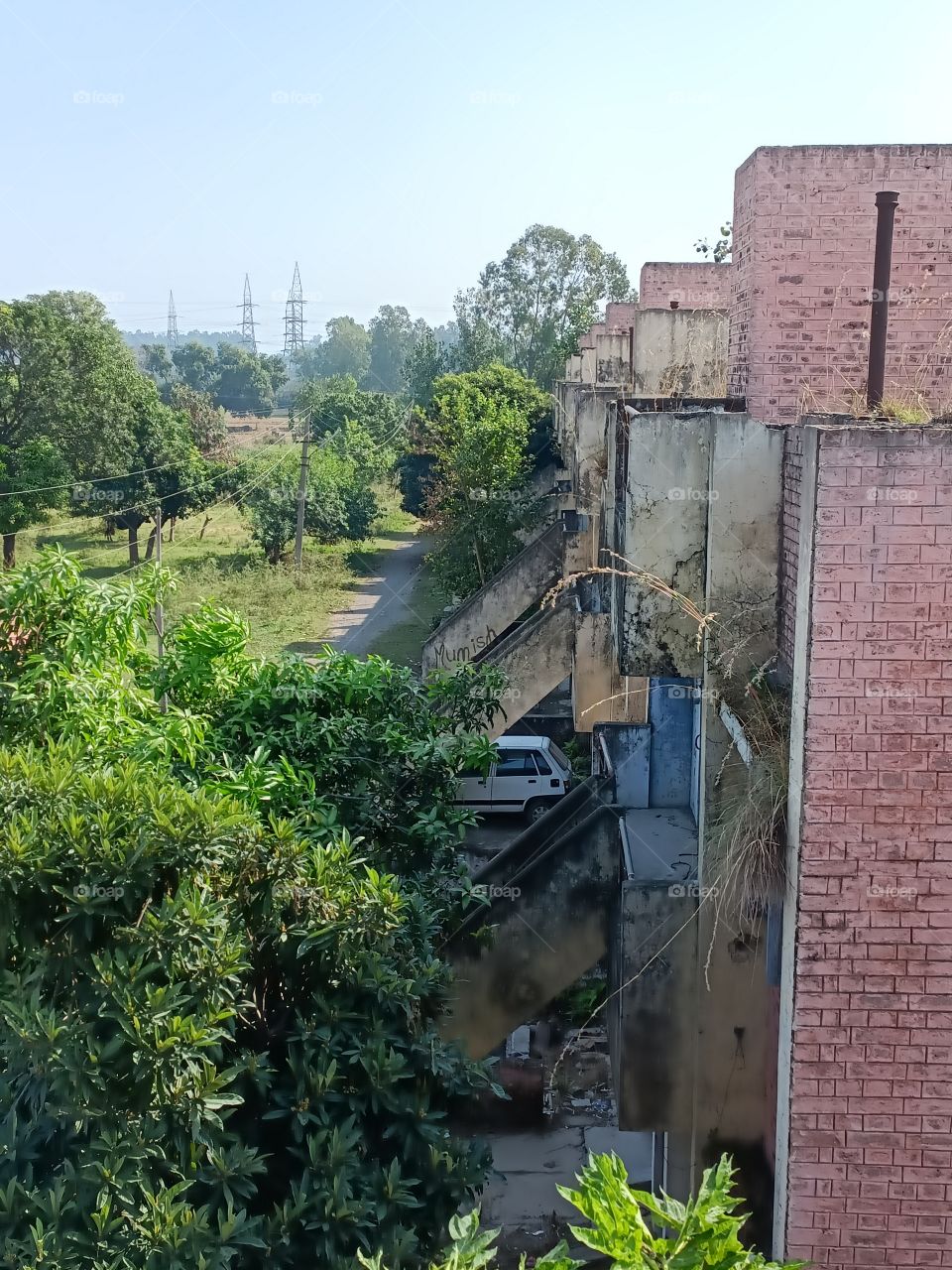 the green colour story