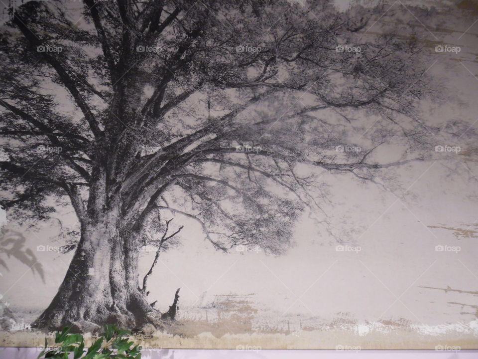 Bob Mills furniture store