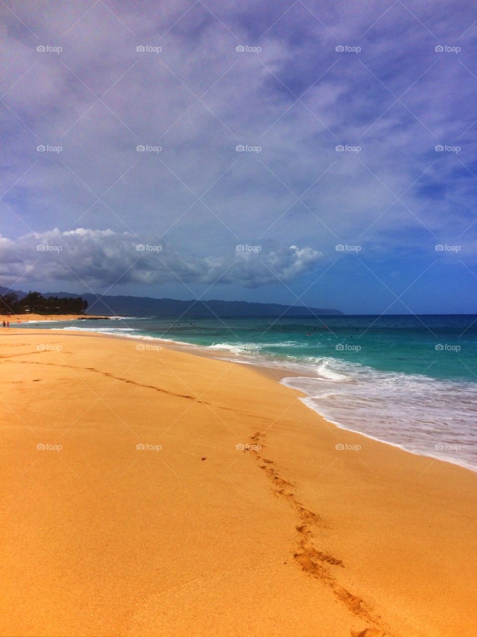 Empty Hawaiian Beach