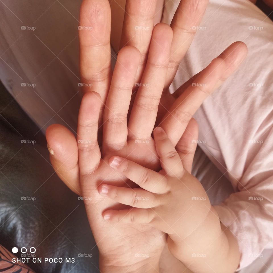 beautiful various human hands