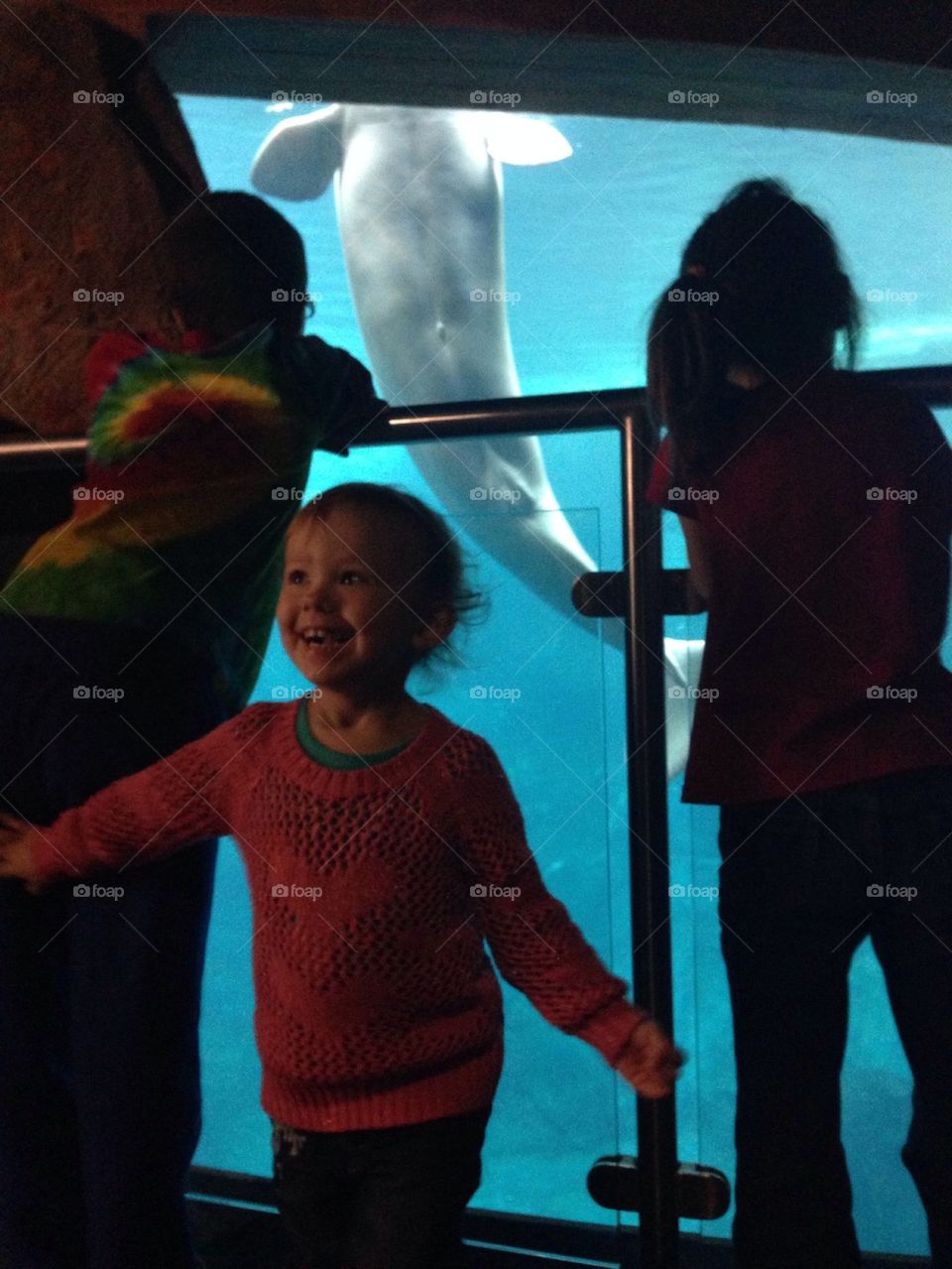 Dancing Through Life