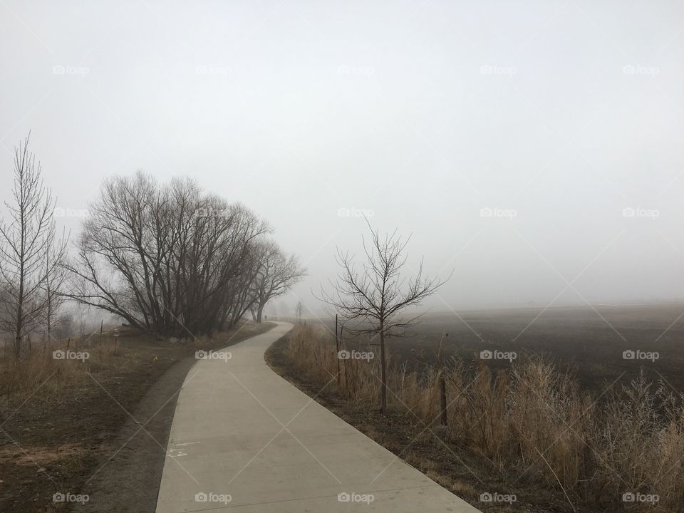 Foggy walk.